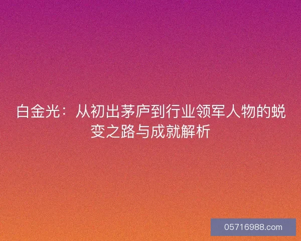白金光：从初出茅庐到行业领军人物的蜕变之路与成就解析